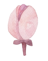 Set of flowers, leaves and branches